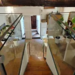 Domus Francesco And Carlo Center Appartement Assise