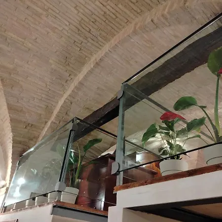 Apartment Domus Near Parcheggio Mojano *