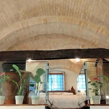 Apartment Domus Near Parcheggio Mojano *