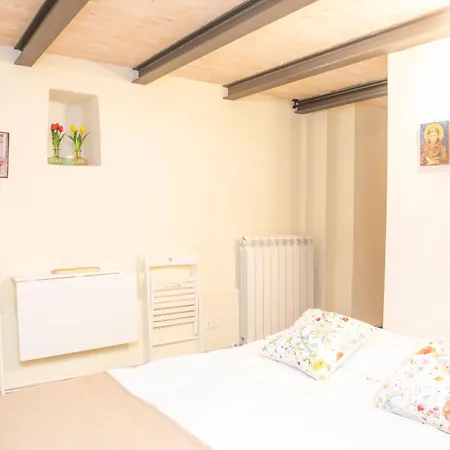 Apartment Domus Near Parcheggio Mojano *
