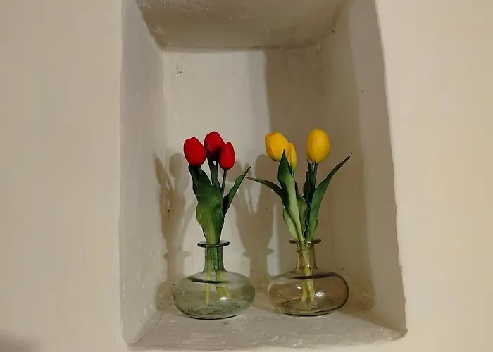 Domus Francesco And Carlo Center